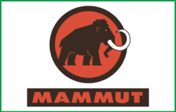 mammut250160.png